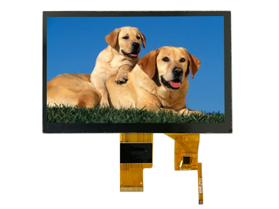 LCD Display