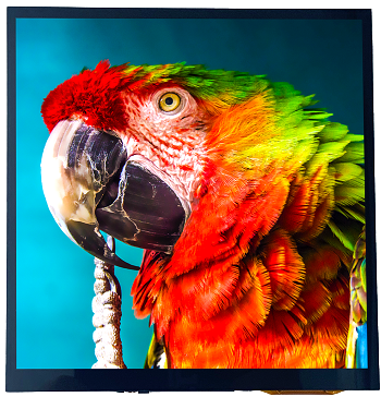 Wie lässt sich PSR TFT LCD mit LVDS- und eDP-Schnittstellen integrieren?